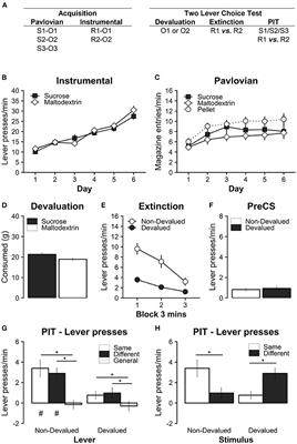 Outcome devaluation by specific satiety disrupts sensory-specific Pavlovian-to-instrumental transfer